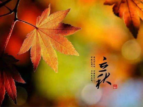 秋來(lái)了，莫慌！智慧主機(jī)依舊值得推薦的